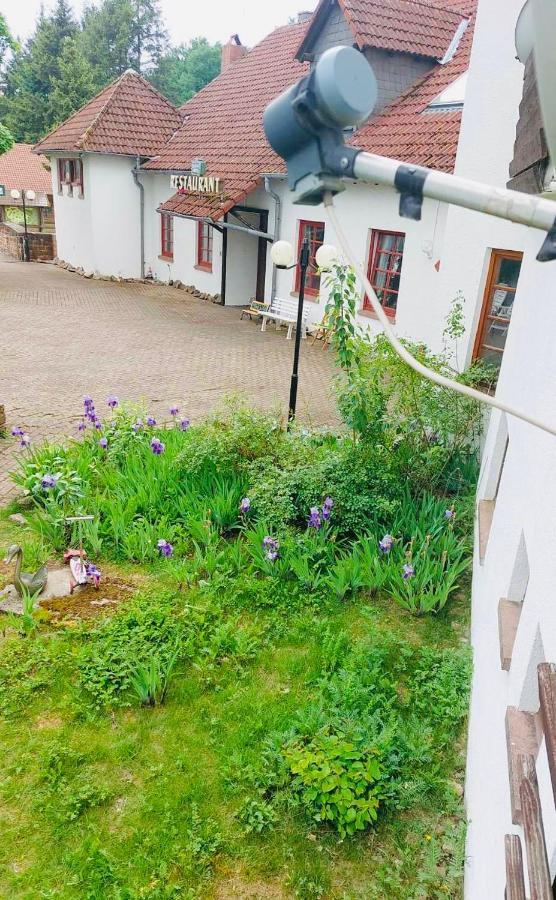 Fockelberg Luxus Appartement Im Schloss מראה חיצוני תמונה